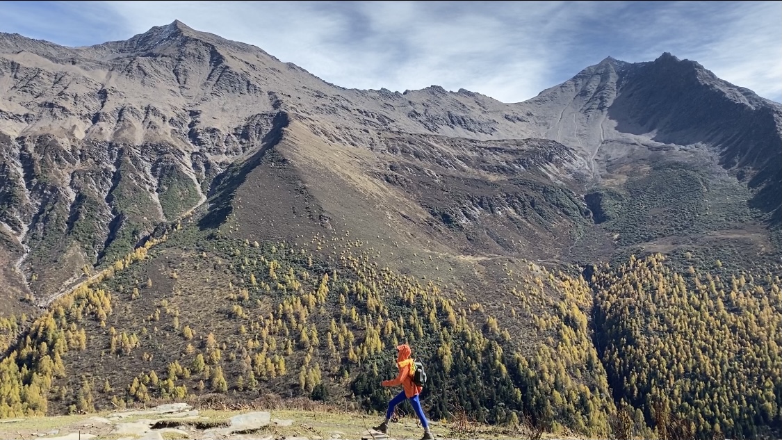 快手双击播放量网站下